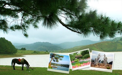 Tour du lịch Đà Lạt